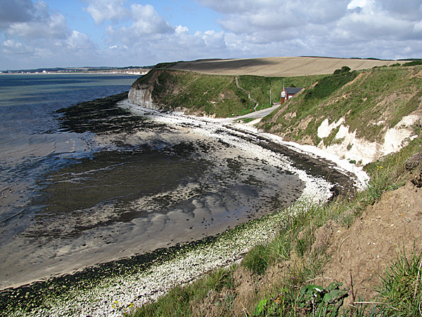 Fig. 2. The palaeo-valley form at South Landing, Flamborough Head, East Yorkshire. View looking W towards the interglacial cliff at Sewerby, north of Bridlington. The chalk cliff to the left defines the near vertical western flank of the palaeo-valley while the cliff to the right (east) is composed of chalk rich gravel. Glacigenic sediments fill the palaeo-valley. Cliff height is approximately 30m.
